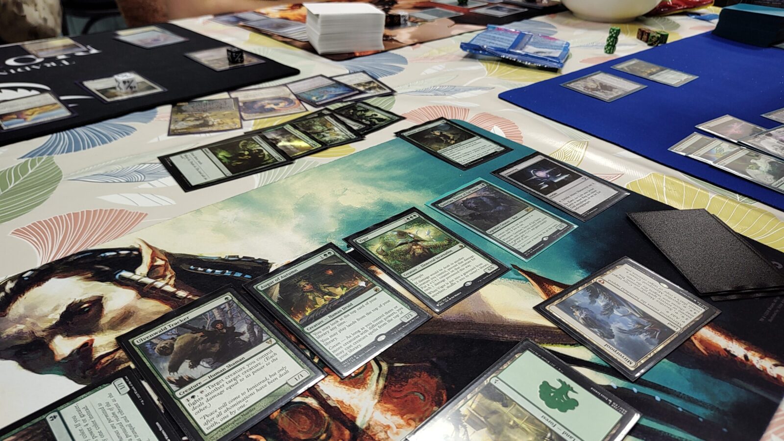 Magic The Gathering in Warendorf
